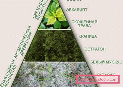 трави від випадіння волосся трави від випадіння волосся