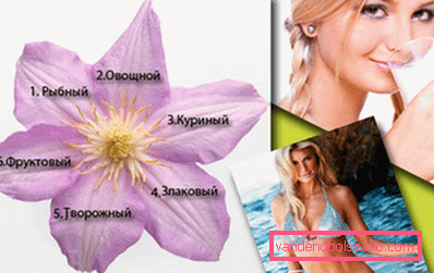 дієта шість пелюсток