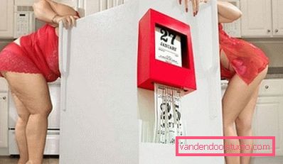 стройняшка і товстуха у холодильника стройняшка і товстуха у холодильника