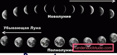 Як користуватися місячним календарем стрижок