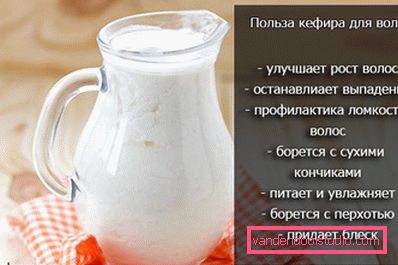 Кефір для волосся - найкращі маски для волосся з кефіру