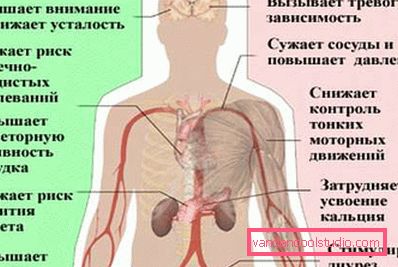 користь і шкода кофеїну користь і шкода кофеїну