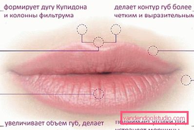 функції функції