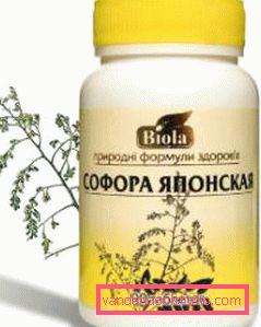японська софора японська софора