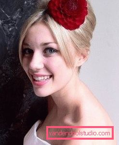 висока черепашка з яскраво-червоною квіткою висока черепашка з яскраво-червоною квіткою