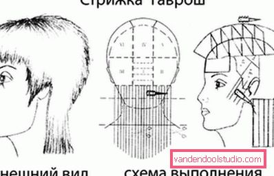 схематичний малюнок інструкція схематичний малюнок інструкція